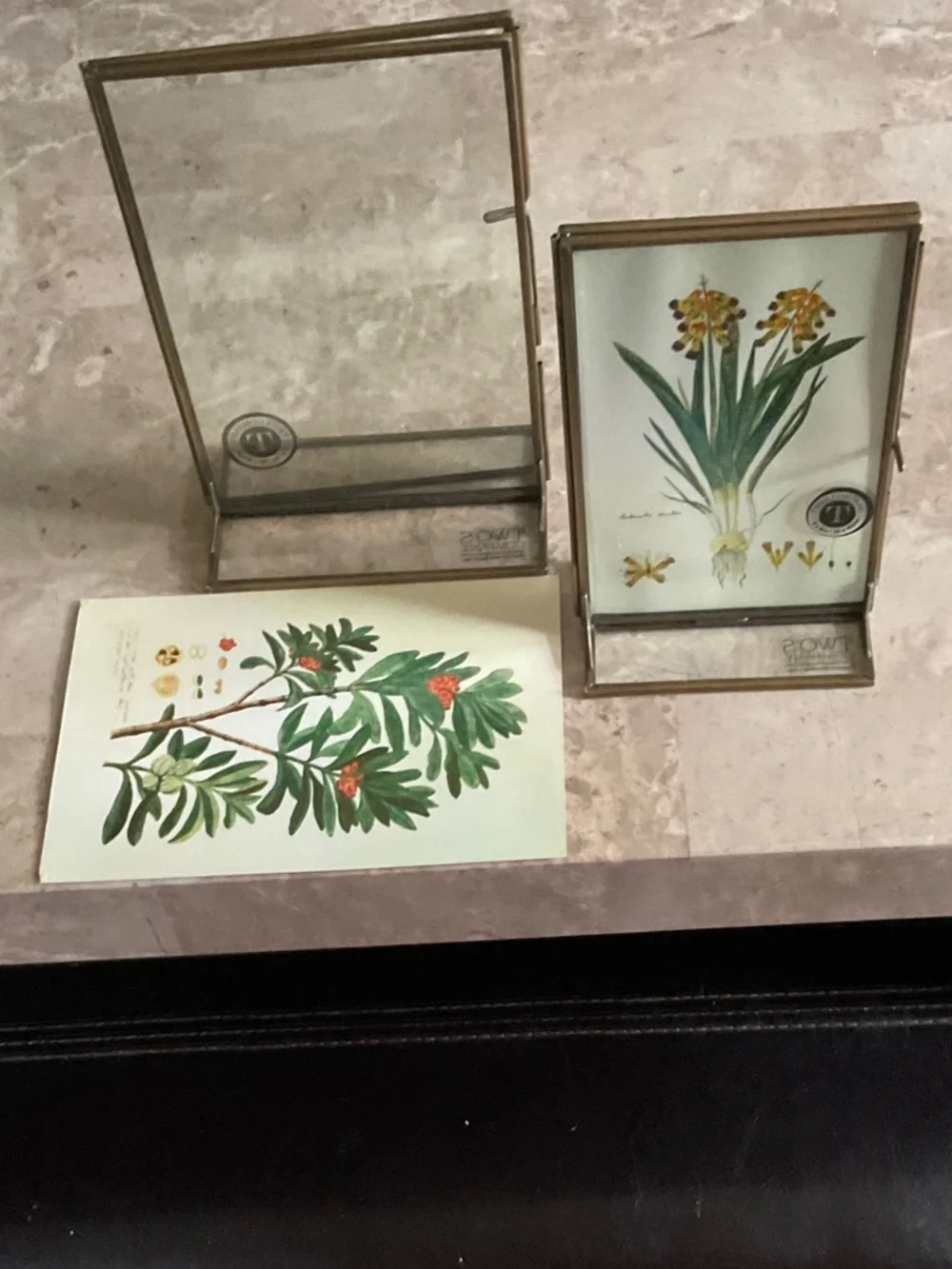 TWO’s Company Frames Botanical Prints or Your Photos
